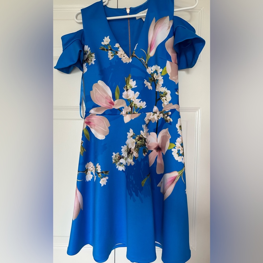 Ted Baker Floral Skater dress, size 1 UK